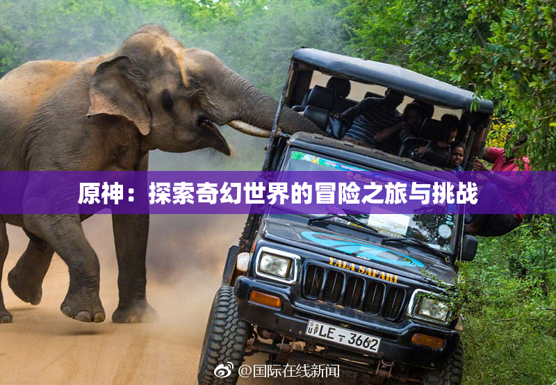 原神：探索奇幻世界的冒险之旅与挑战
