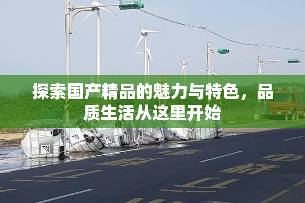 探索国产精品的魅力与特色，品质生活从这里开始