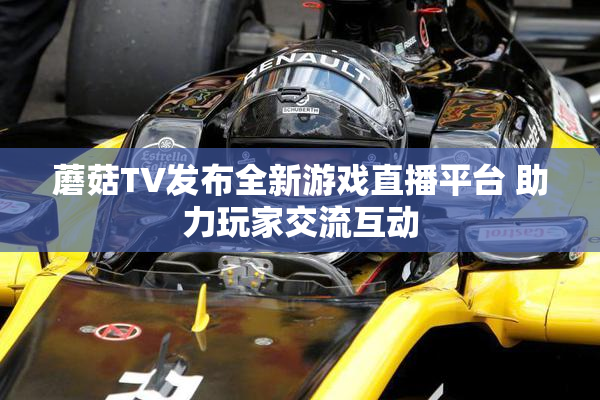蘑菇TV发布全新游戏直播平台 助力玩家交流互动