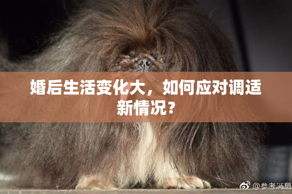 婚后生活变化大，如何应对调适新情况？