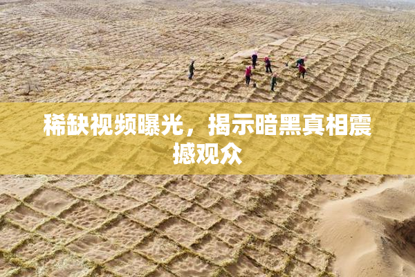 稀缺视频曝光，揭示暗黑真相震撼观众