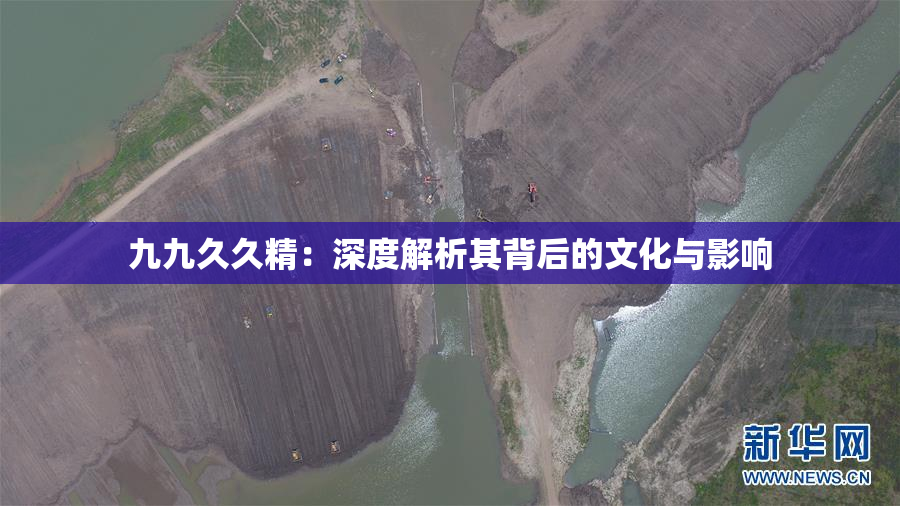九九久久精：深度解析其背后的文化与影响
