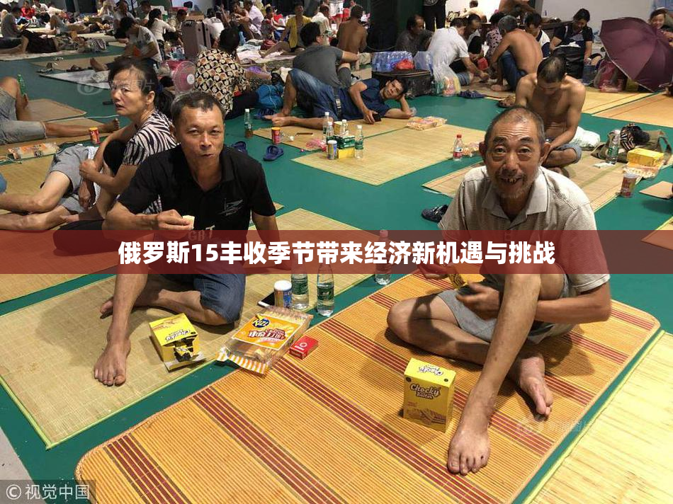 俄罗斯15丰收季节带来经济新机遇与挑战