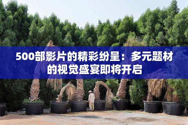500部影片的精彩纷呈：多元题材的视觉盛宴即将开启