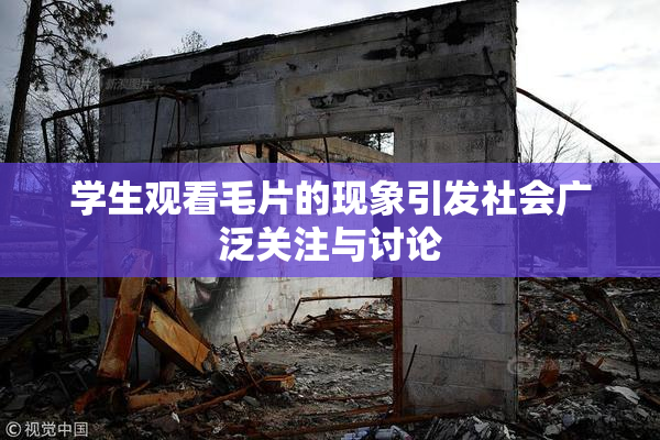 学生观看毛片的现象引发社会广泛关注与讨论