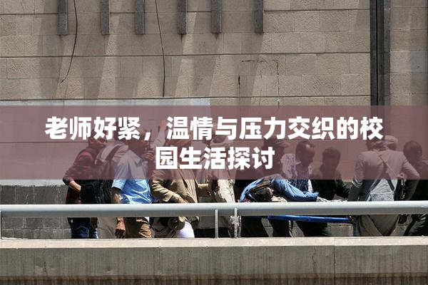 老师好紧，温情与压力交织的校园生活探讨