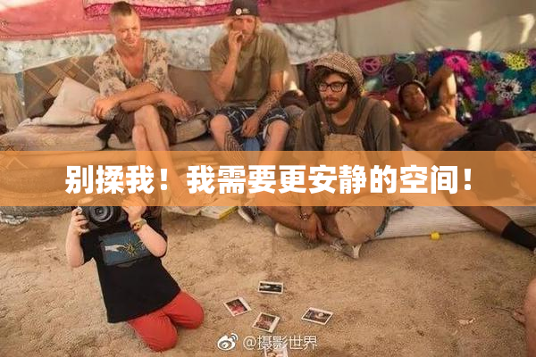 别揉我！我需要更安静的空间！
