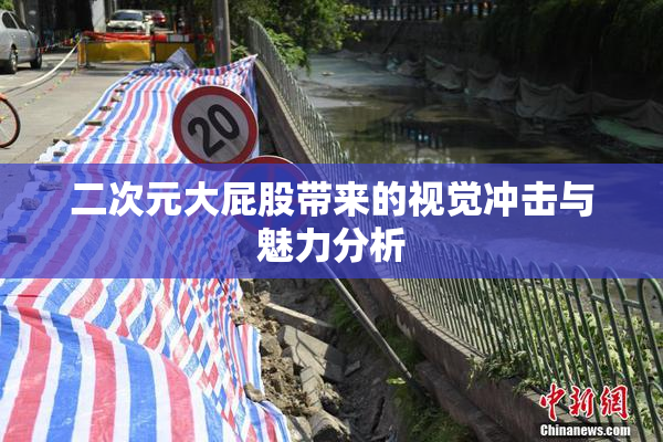 二次元大屁股带来的视觉冲击与魅力分析