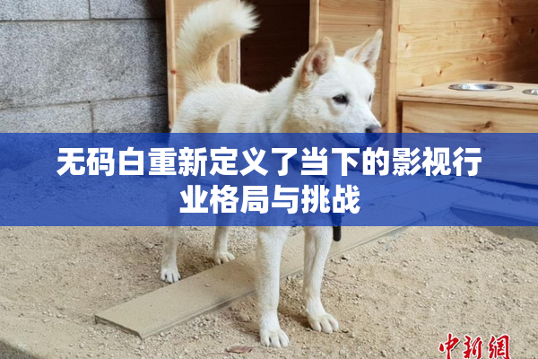 无码白重新定义了当下的影视行业格局与挑战