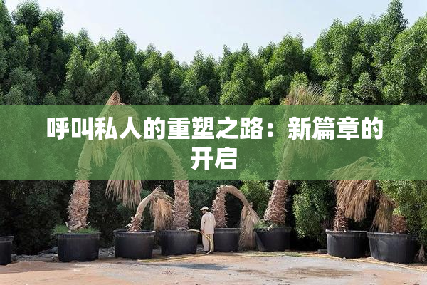 呼叫私人的重塑之路：新篇章的开启