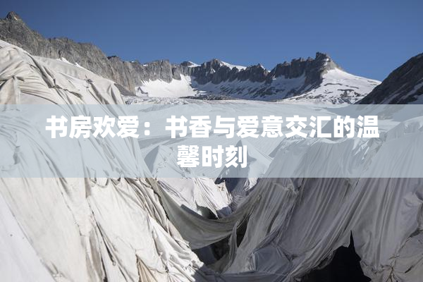 书房欢爱：书香与爱意交汇的温馨时刻