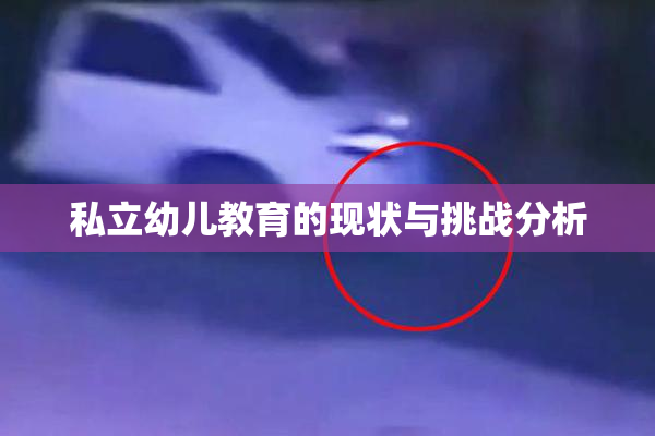 私立幼儿教育的现状与挑战分析