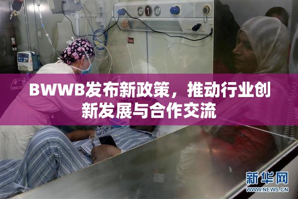BWWB发布新政策，推动行业创新发展与合作交流