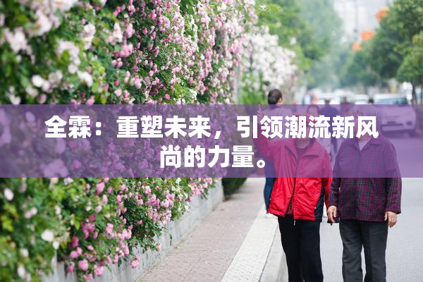 全霖：重塑未来，引领潮流新风尚的力量。