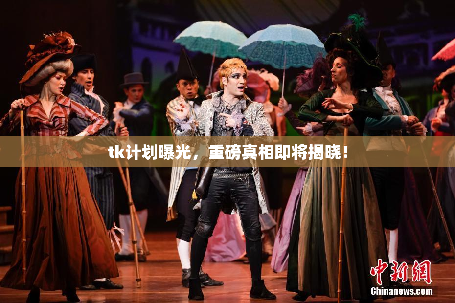 tk计划曝光，重磅真相即将揭晓！