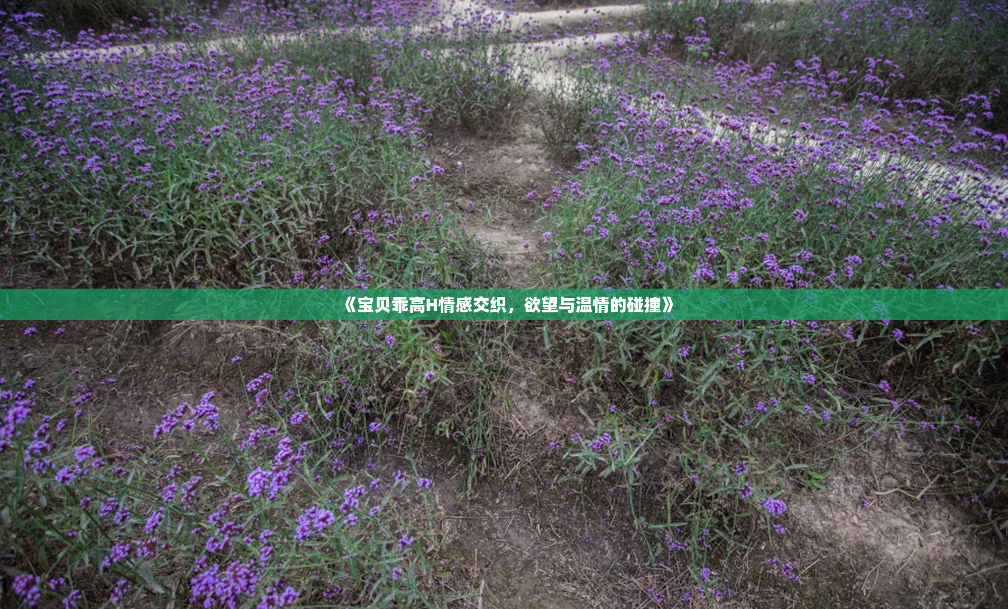 《宝贝乖高H情感交织，欲望与温情的碰撞》