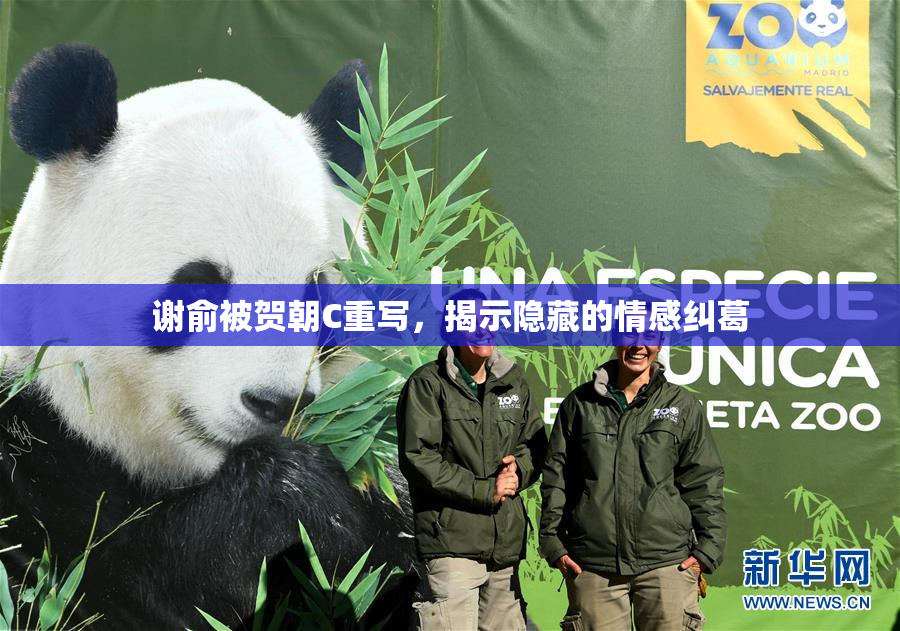 谢俞被贺朝C重写，揭示隐藏的情感纠葛