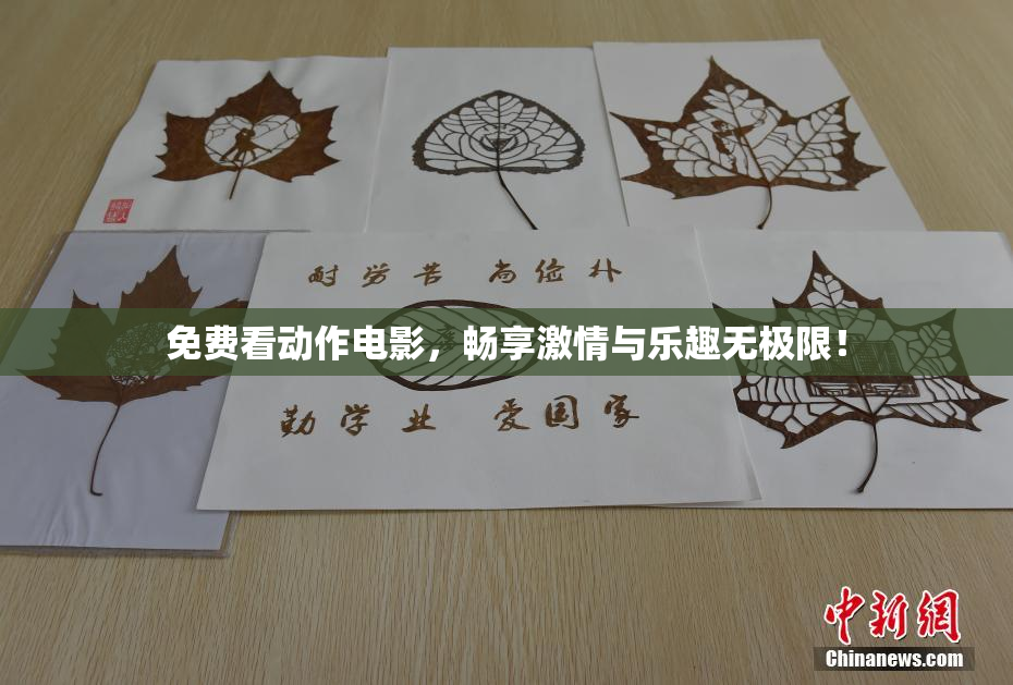免费看动作电影，畅享激情与乐趣无极限！
