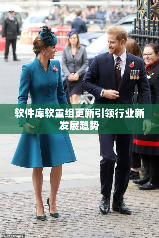 软件库软重组更新引领行业新发展趋势