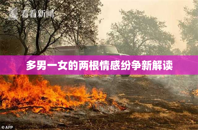多男一女的两根情感纷争新解读