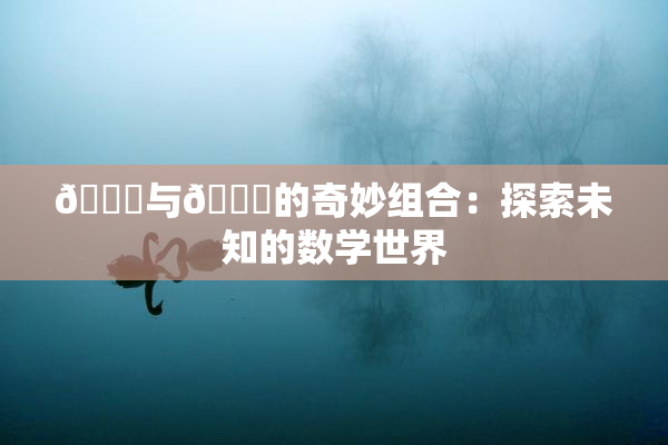 🍆与🔞的奇妙组合：探索未知的数学世界