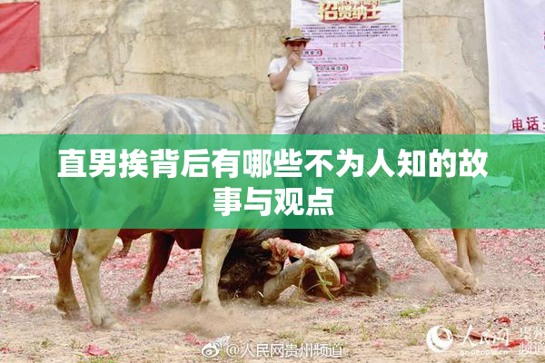 直男挨背后有哪些不为人知的故事与观点