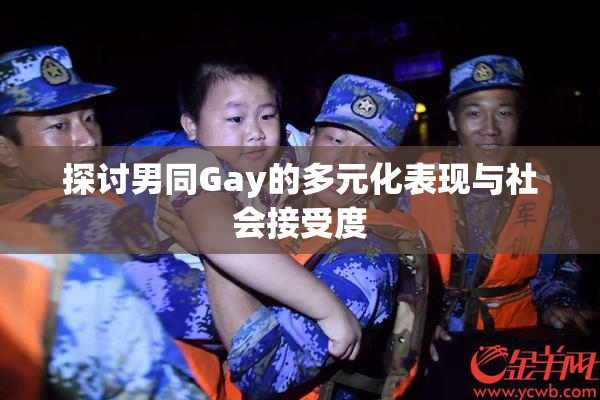 探讨男同Gay的多元化表现与社会接受度
