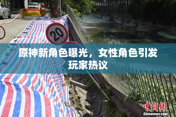 原神新角色曝光，女性角色引发玩家热议