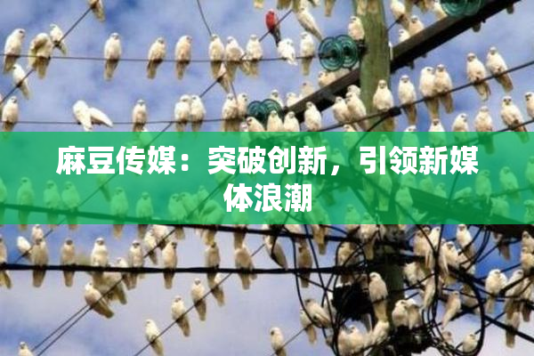 麻豆传媒：突破创新，引领新媒体浪潮