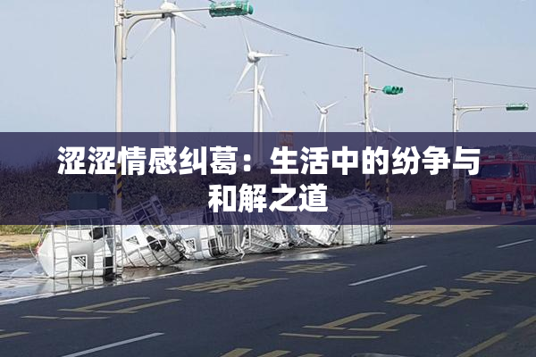 涩涩情感纠葛：生活中的纷争与和解之道