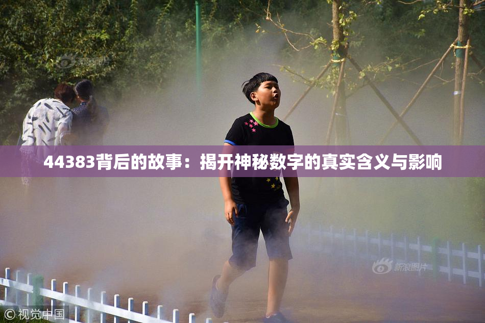 44383背后的故事：揭开神秘数字的真实含义与影响