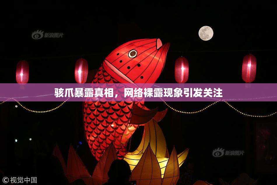 骇爪暴露真相，网络裸露现象引发关注