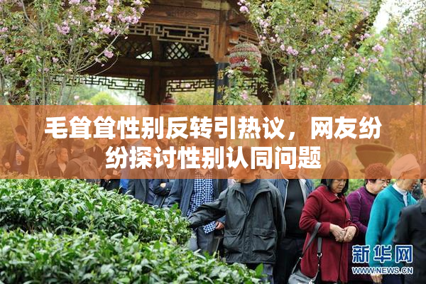 毛耸耸性别反转引热议，网友纷纷探讨性别认同问题