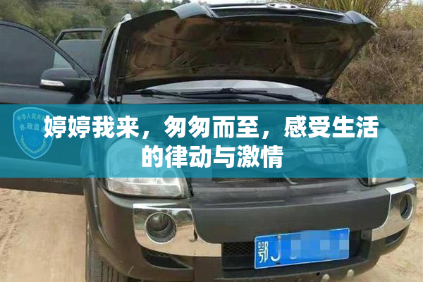 婷婷我来，匆匆而至，感受生活的律动与激情