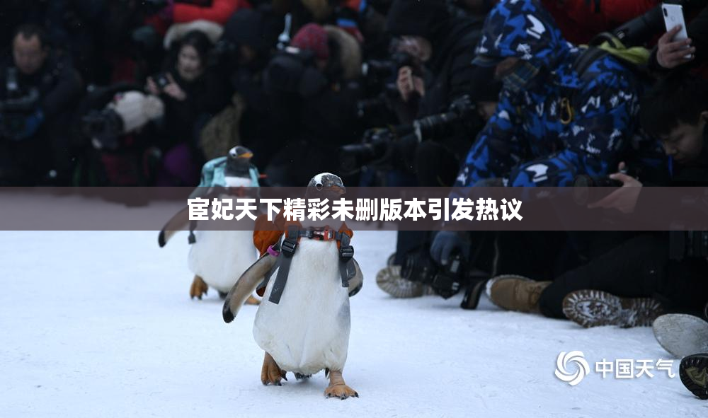 宦妃天下精彩未删版本引发热议