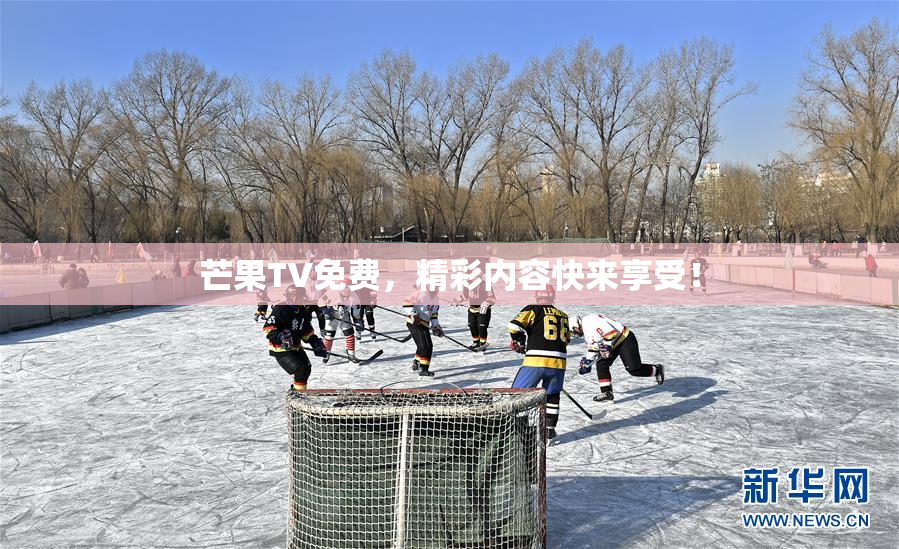 芒果TV免费，精彩内容快来享受！