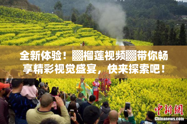 全新体验！▓榴莲视频▓带你畅享精彩视觉盛宴，快来探索吧！