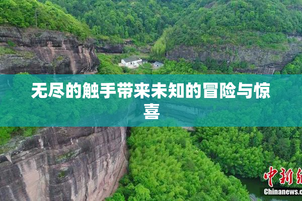 无尽的触手带来未知的冒险与惊喜