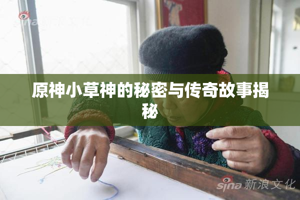 原神小草神的秘密与传奇故事揭秘