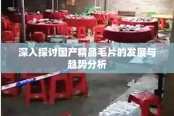 深入探讨国产精品毛片的发展与趋势分析
