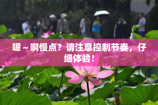 嗯～啊慢点？请注意控制节奏，仔细体验！