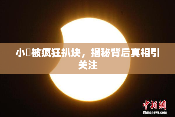 小泬被疯狂扒块，揭秘背后真相引关注