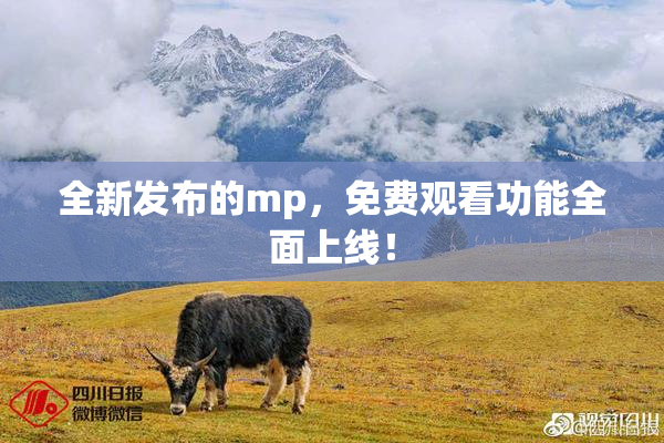 全新发布的mp，免费观看功能全面上线！