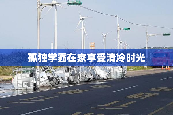 孤独学霸在家享受清冷时光