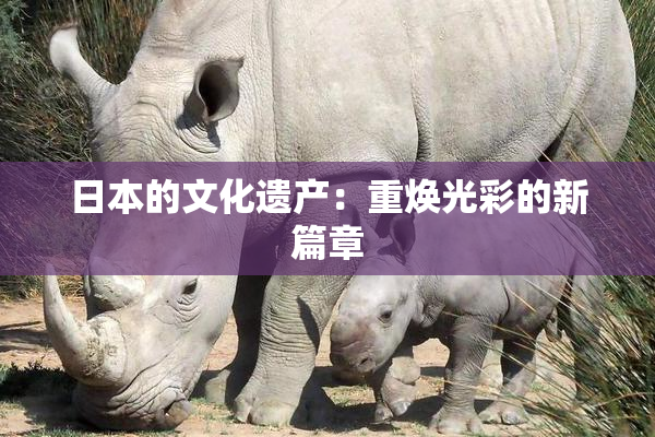 日本的文化遗产：重焕光彩的新篇章