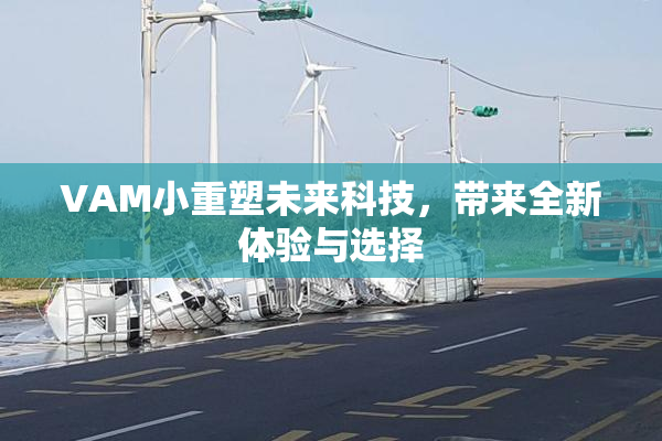 VAM小重塑未来科技，带来全新体验与选择