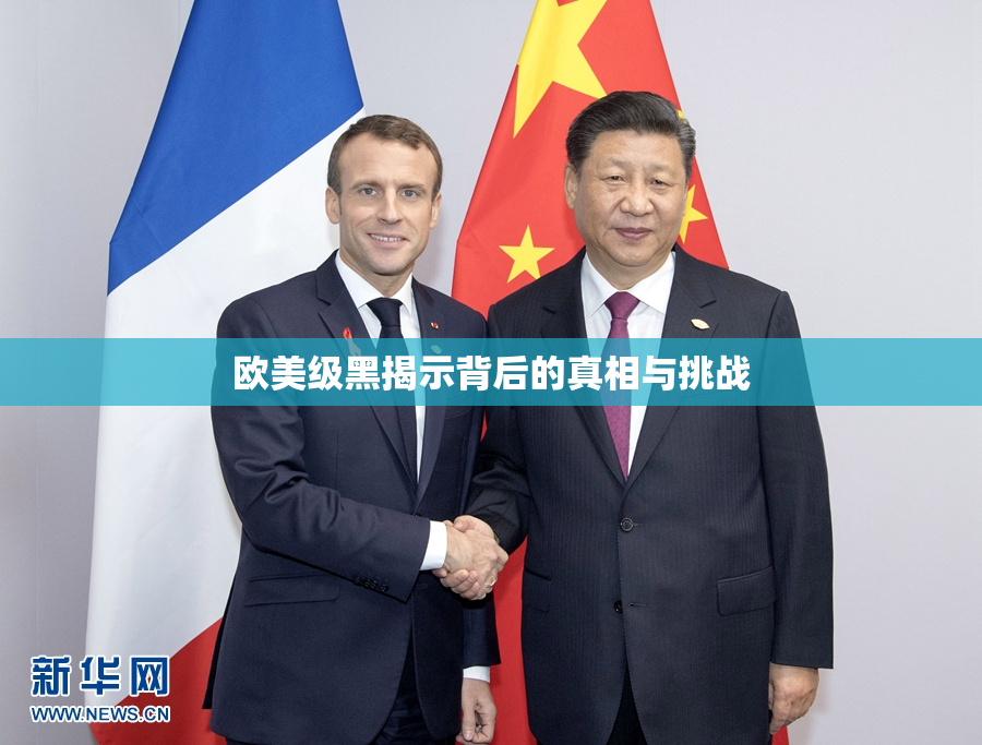 欧美级黑揭示背后的真相与挑战