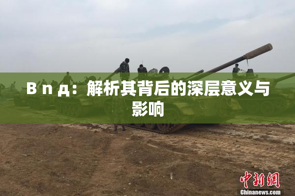 B n д：解析其背后的深层意义与影响