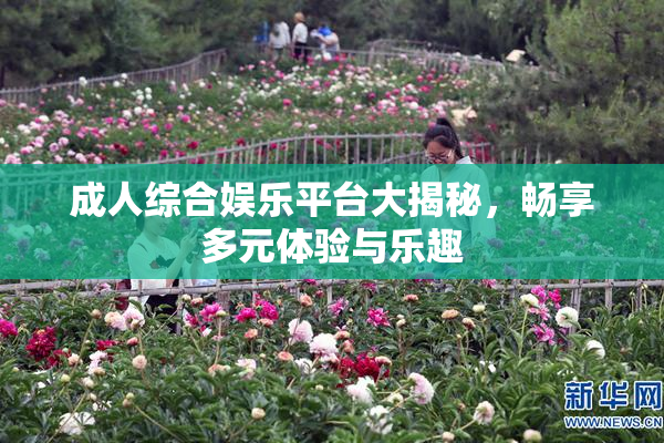成人综合娱乐平台大揭秘，畅享多元体验与乐趣