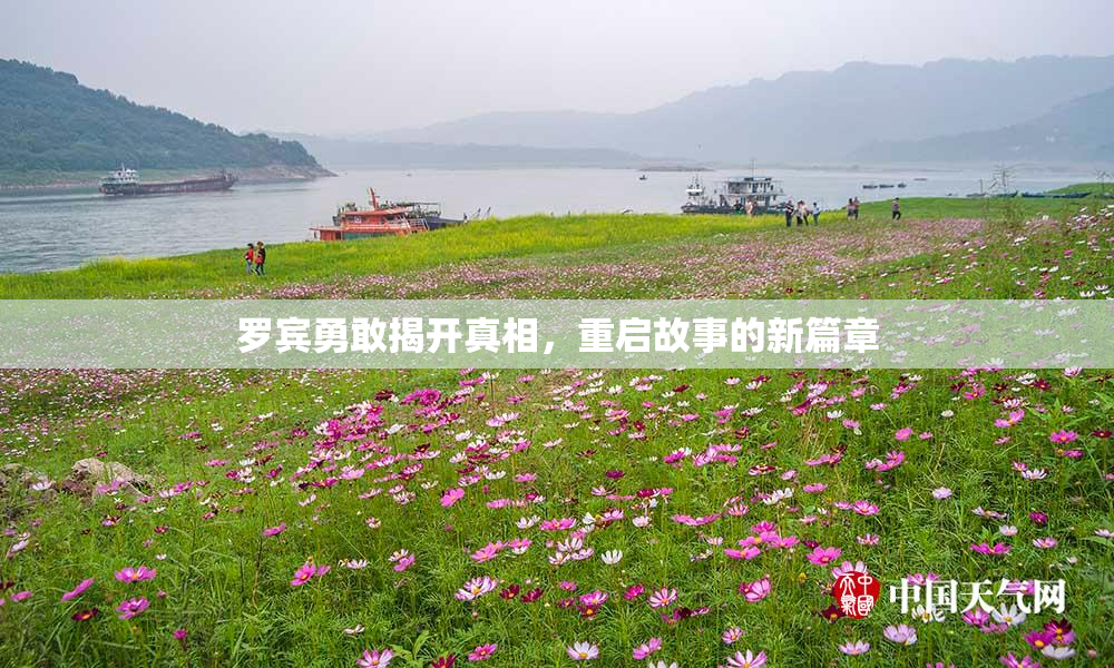 罗宾勇敢揭开真相，重启故事的新篇章